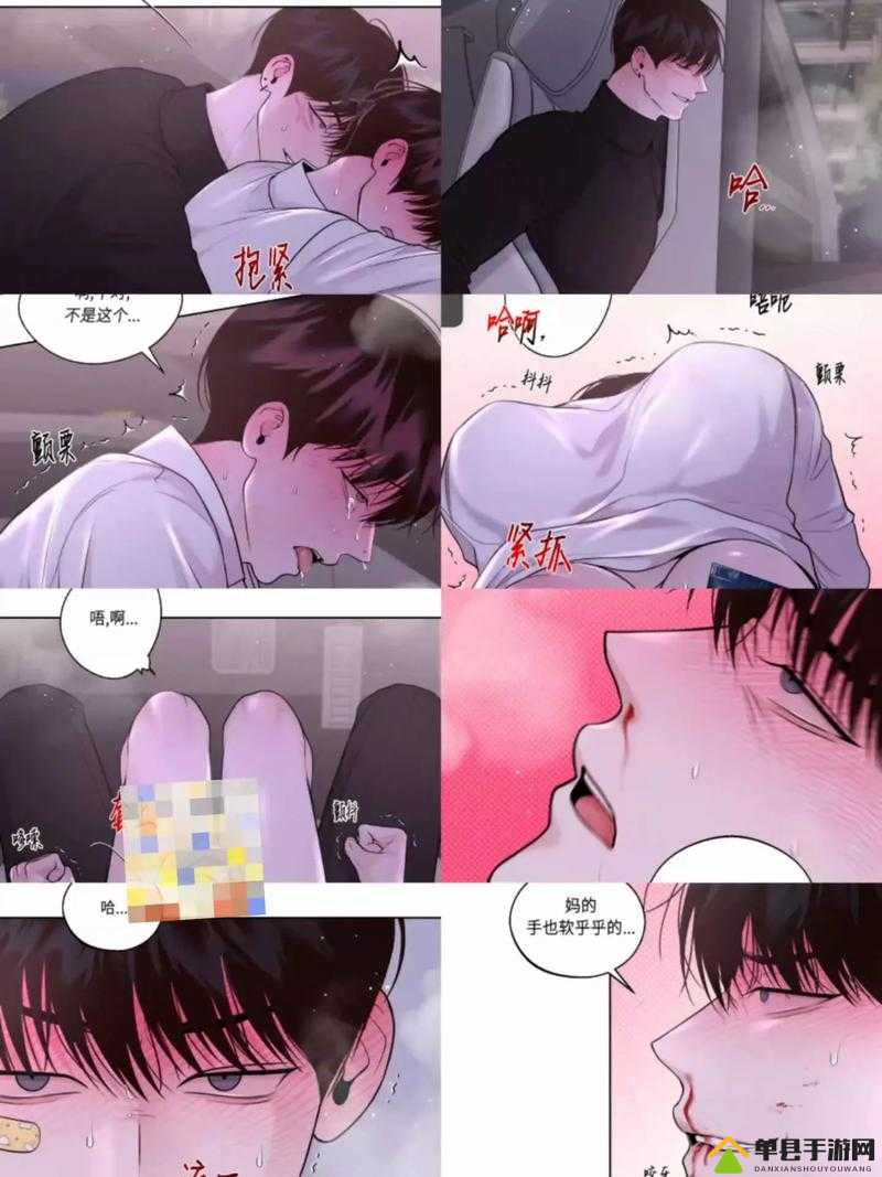 车速超快的双男主:一场速度与激情的冒险之旅即将开启